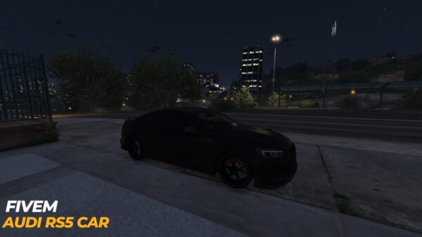 Fivem Audi RS5 Car